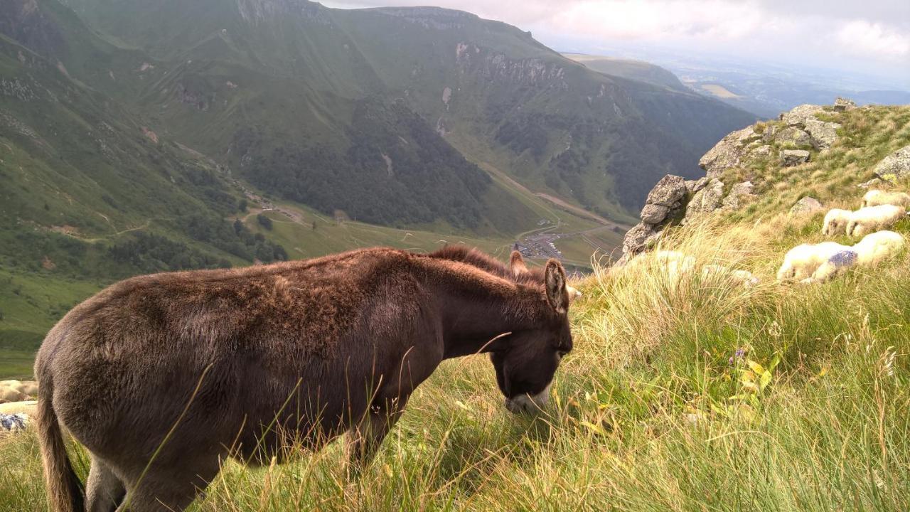 Camping Les Vernieres La Bourboule Sancy Zewnętrze zdjęcie